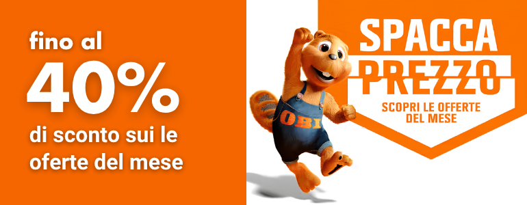 Cover image for OBI